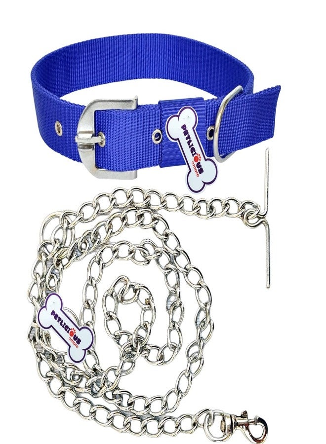 Petlicious & More® 1" Inch Thick Medium & Large Dog Collar with Dog Chain I Collar Size 12-20 Inch I Chain No. 8 Length 5 ft - Pack of Blue Collar with Dog Chain - Image 1